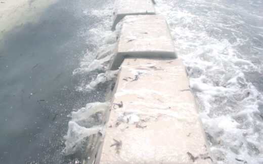 Beach Erosion Barrier