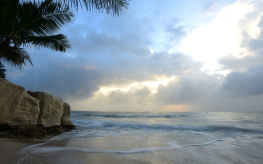 Sandsaver Kenya Indian ocean