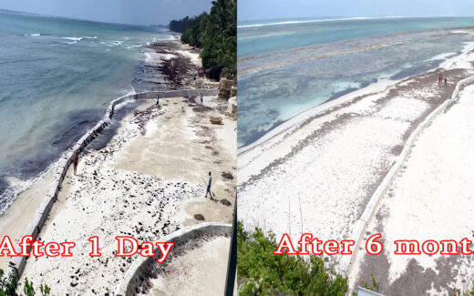 Beach Erosion Solution Before and After