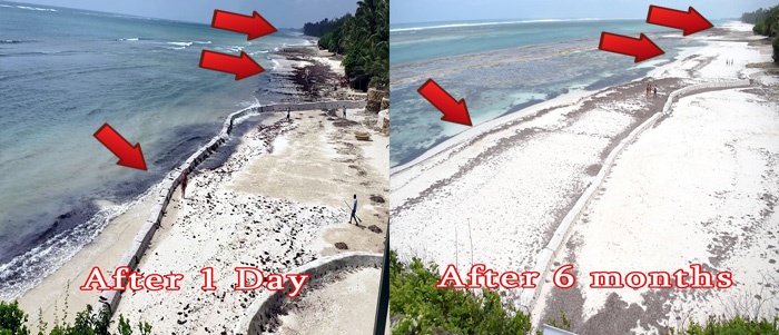 Sand Accumulation Along Beach