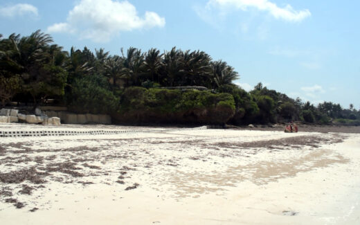 Sandsaver beach erosion barrier