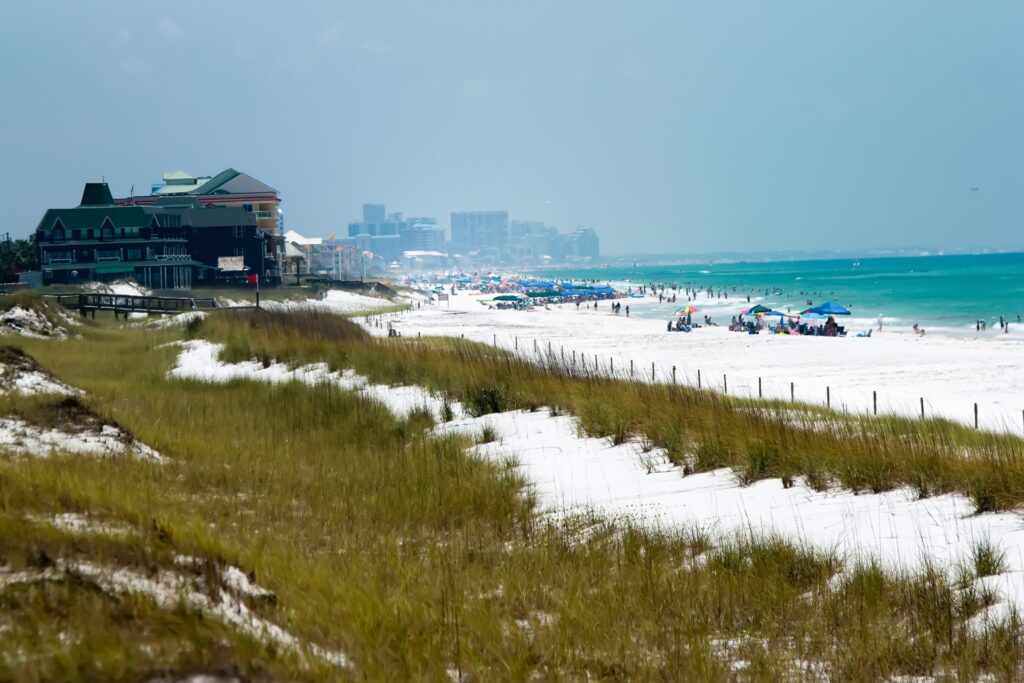 Gulf of Mexico Beach