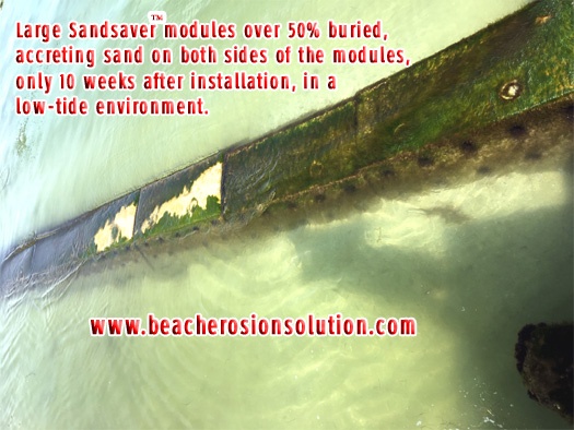 Sandsaver Beach Erosion Solution Gulf of Mexico