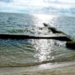 Gulf of Mexico Beach Erosion Solution