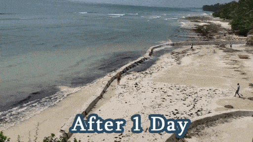 Beach Erosion Solution Before and After