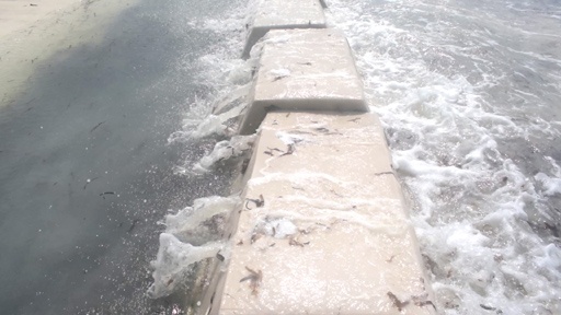 Sandsaver Beach Erosion Barrier