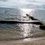 Sandsaver building beach next to bulkhead