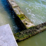 Sandsaver Gulf of Mexico tied into Bulkhead building beach