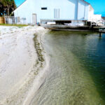 Sand accumulating on beach behind Sandsaver install Gulf of Mexico