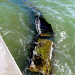 Sandsavers in front of Gulf of Mexico bulkhead