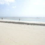 Sandsaver Beach Erosion Solution Lined up in Africa Kenya