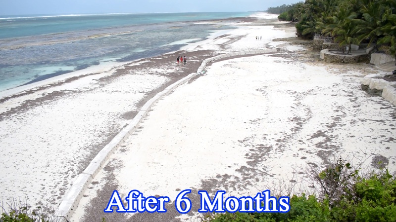 Sandsaver Beach Erosion Solution after 6 Months