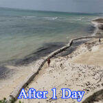 Sandsaver Beach Erosion Solution After 1 Day