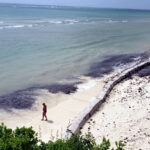 After 1 Day Sandsaver Beach Erosion Solution
