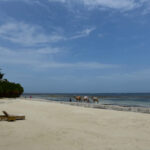 Sandsaver Beach Erosion Solution Diani Beach Kenya