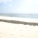 Sandsaver Beach Erosion Solution Kenya Africa Indian Ocean