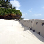 Sandsavers accreting Sand on Indian Ocean Beach